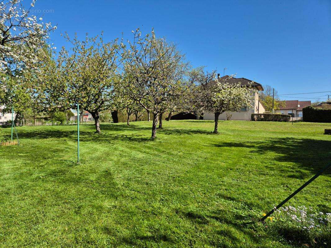 Maison à SCEY-SUR-SAONE-ET-SAINT-ALBIN