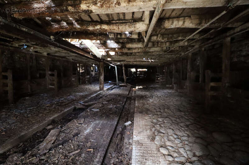 Maison à SAINT-VINCENT-DE-SALERS