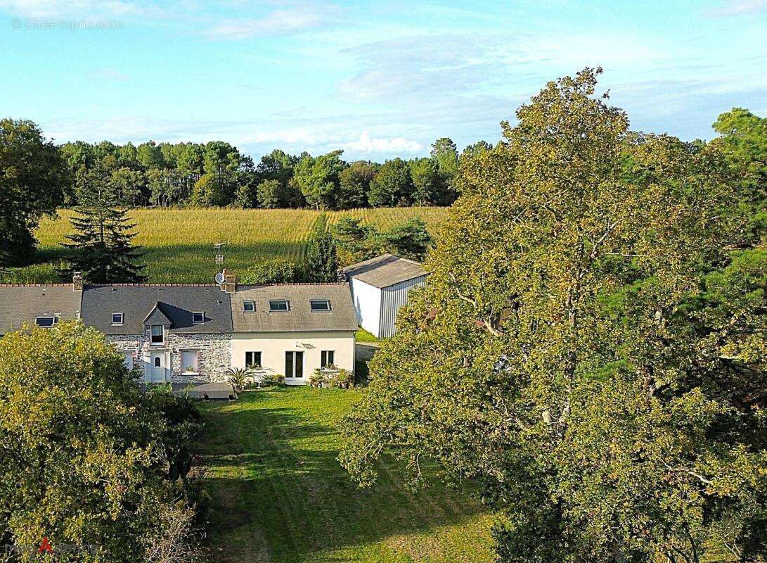 Maison à SAINT-MARTIN