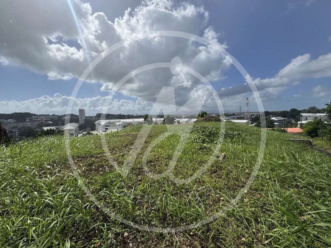 Terrain à LES ABYMES