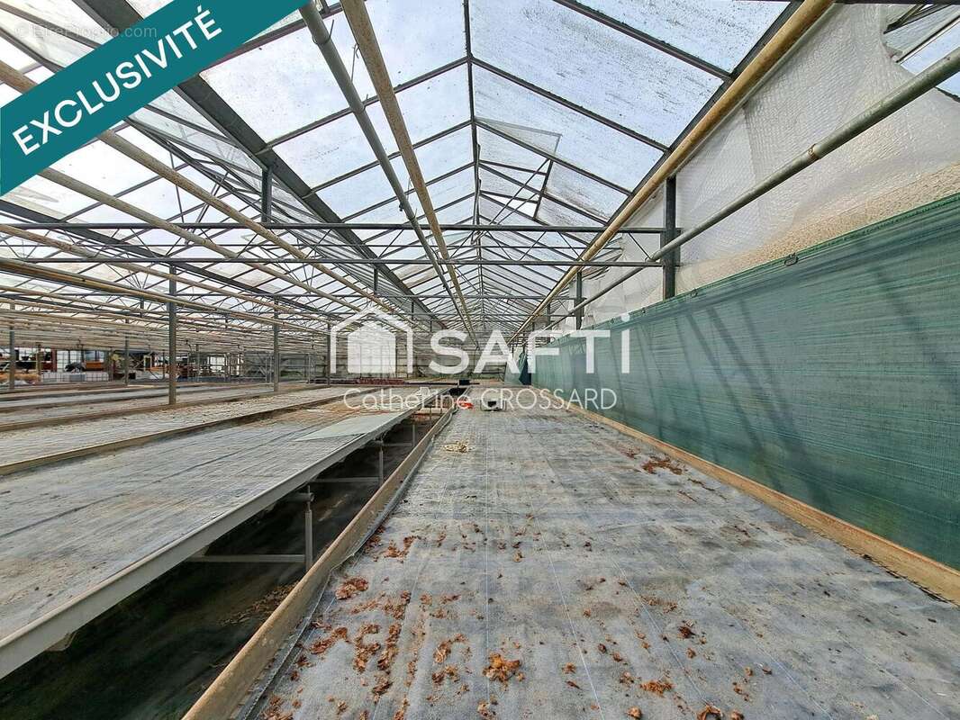 Photo 5 - Maison à LA GORGUE