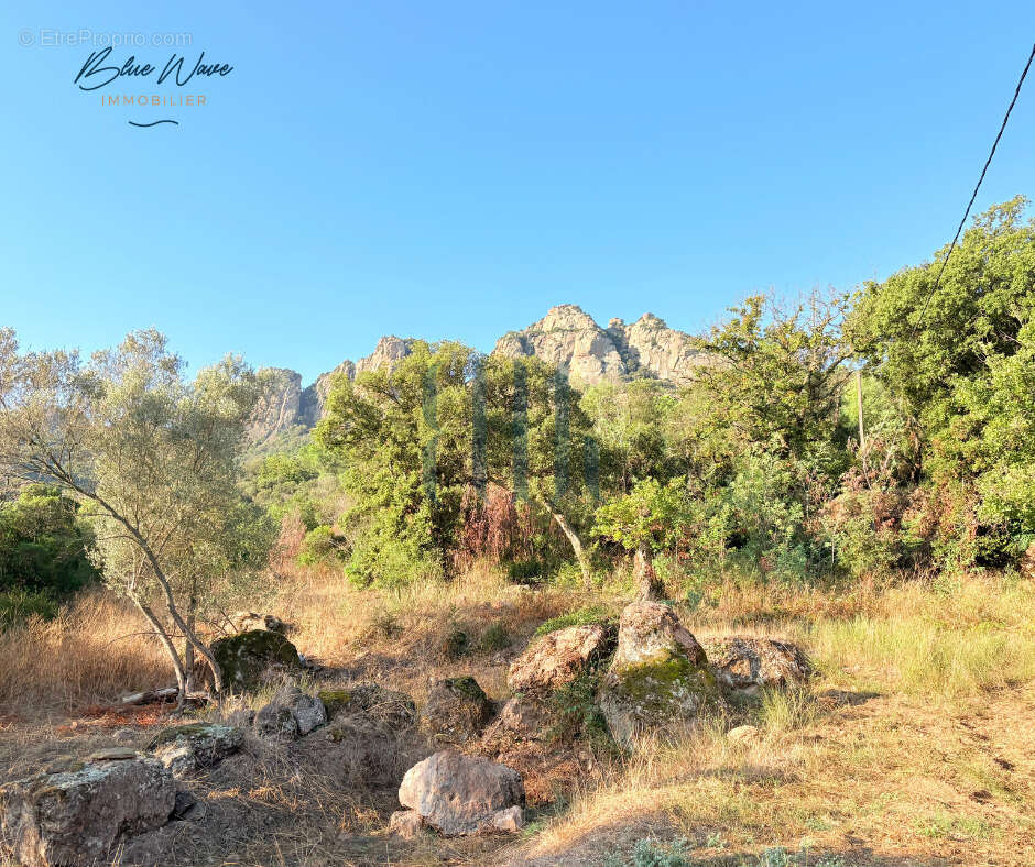 Bastide en pierre a rénover au pied du rocher de roquebrune - photo 4