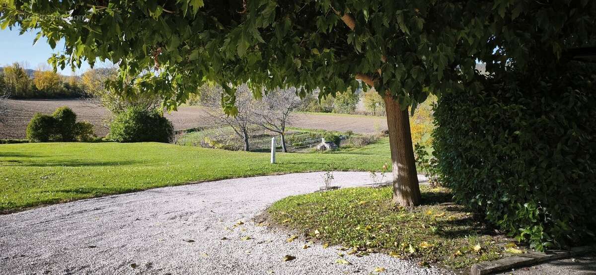 Charmante propriété en pierre avec gîte et dépendances - Entre Lauzerte et Cahors - photo 4