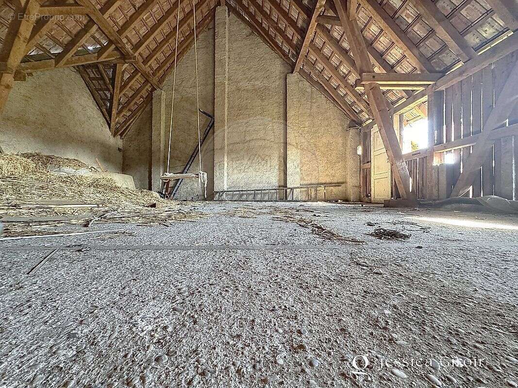 Maison à ARTZENHEIM