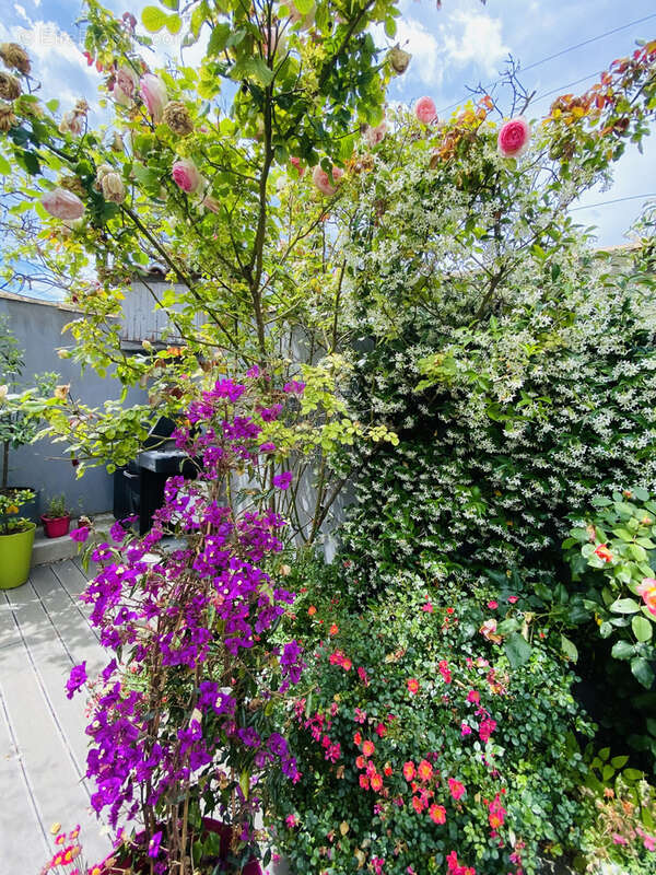 Maison à PALAVAS-LES-FLOTS