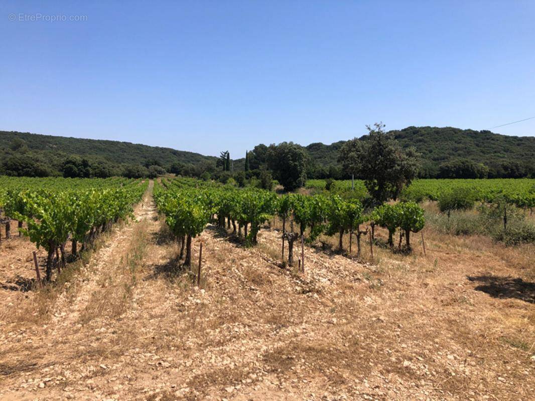 Terrain à ROCHEFORT-DU-GARD