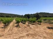 Terrain à ROCHEFORT-DU-GARD