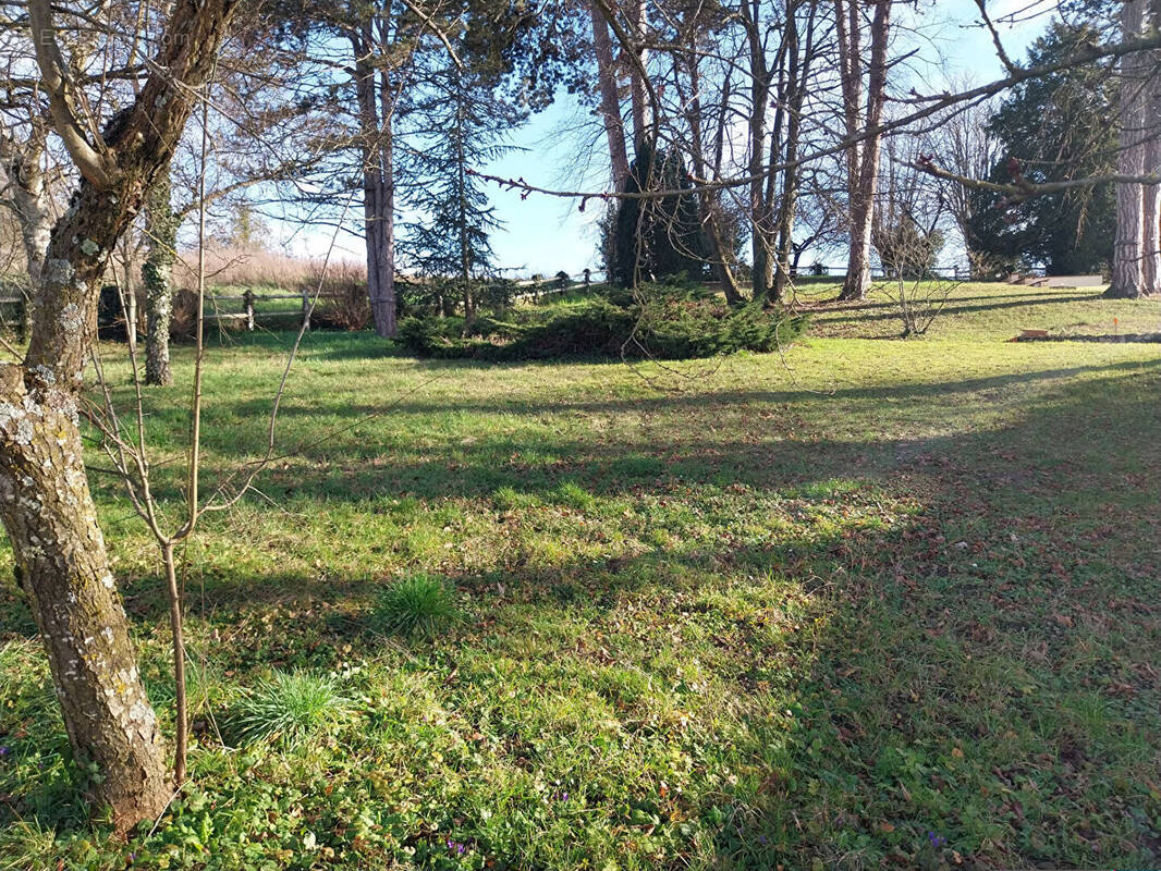 Terrain à PONT-EVEQUE
