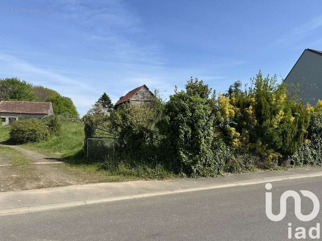 Photo 2 - Terrain à ISIGNY-LE-BUAT