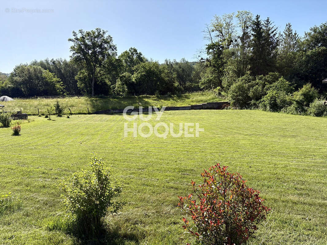 Terrain à DAMPIERRE-SUR-LINOTTE