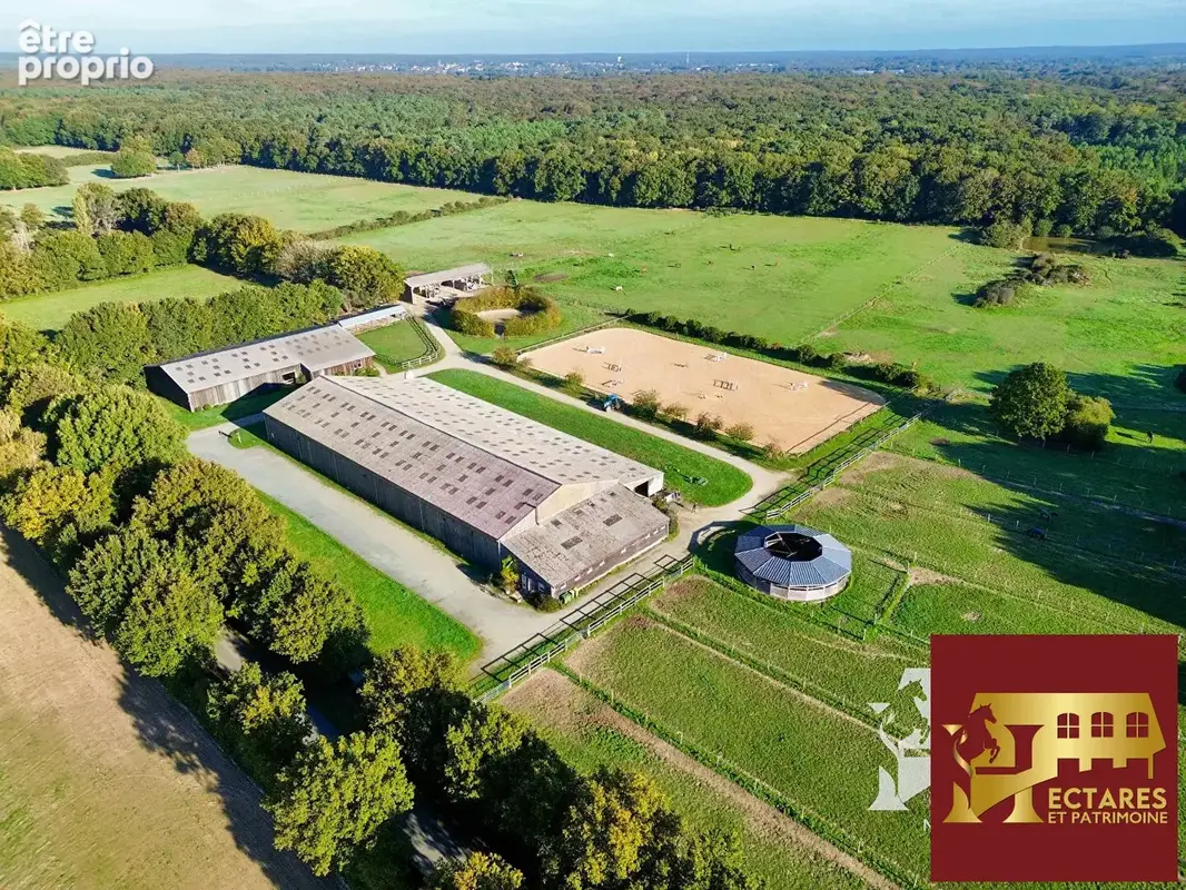 Propriété équestre Blain 10 pièce(s) 15 hectares - photo 2