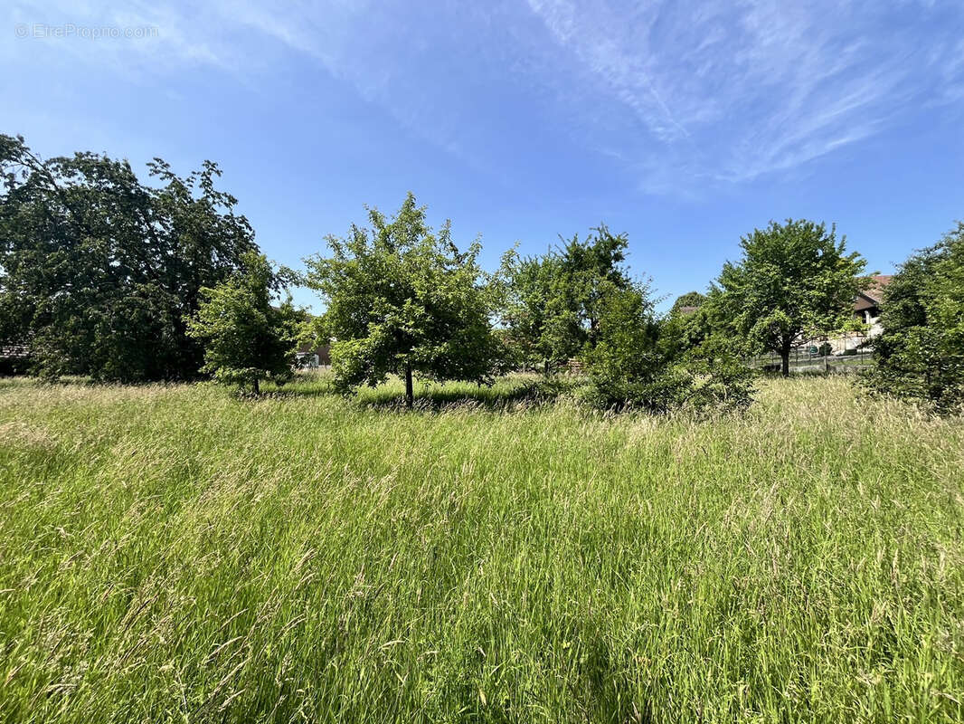 Folgensbourg au calme terrain constructible de 13,23 ares - photo 4
