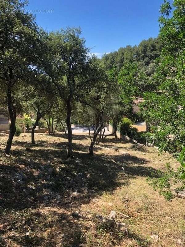 Photo 4 - Terrain à LA VALETTE-DU-VAR