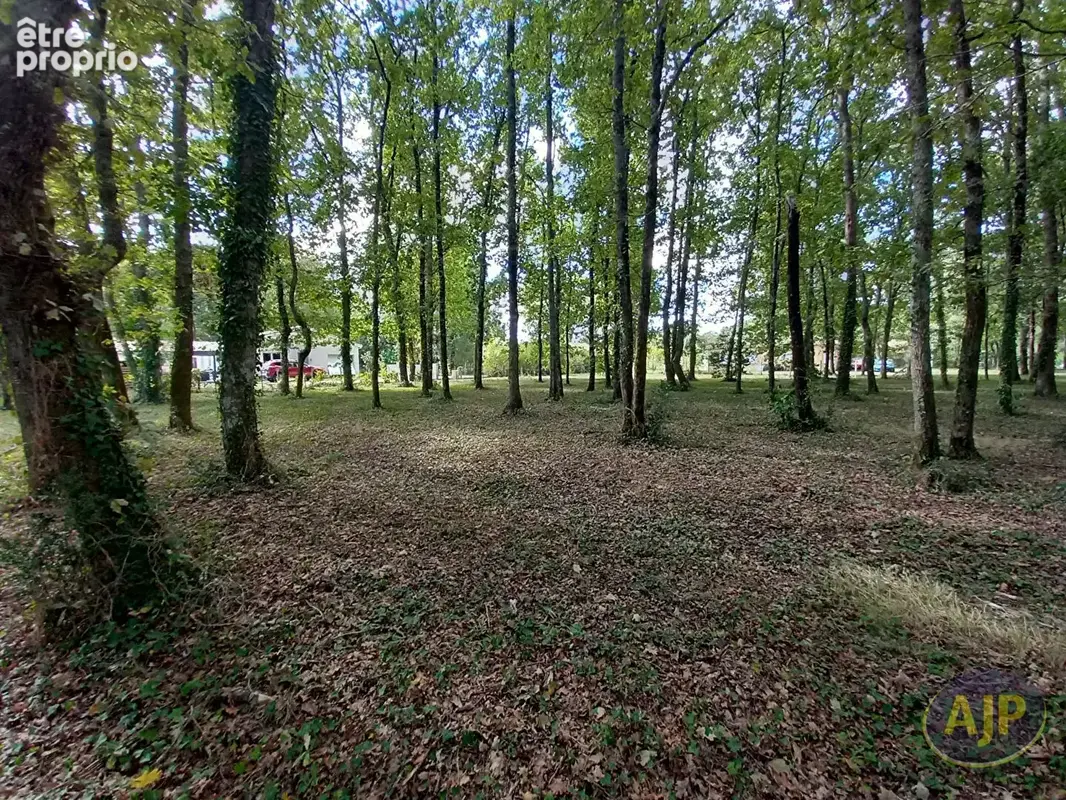 Terrain à GAILLAN-EN-MEDOC
