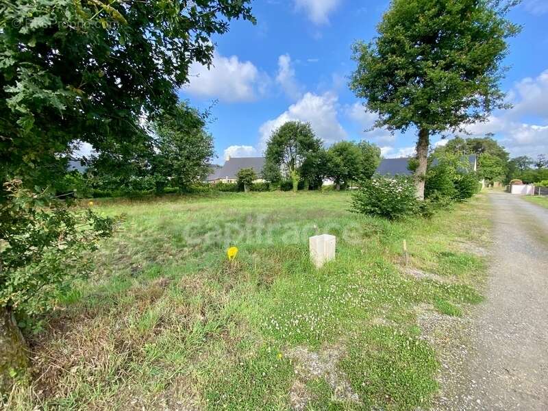 Terrain à LA TRINITE-SURZUR