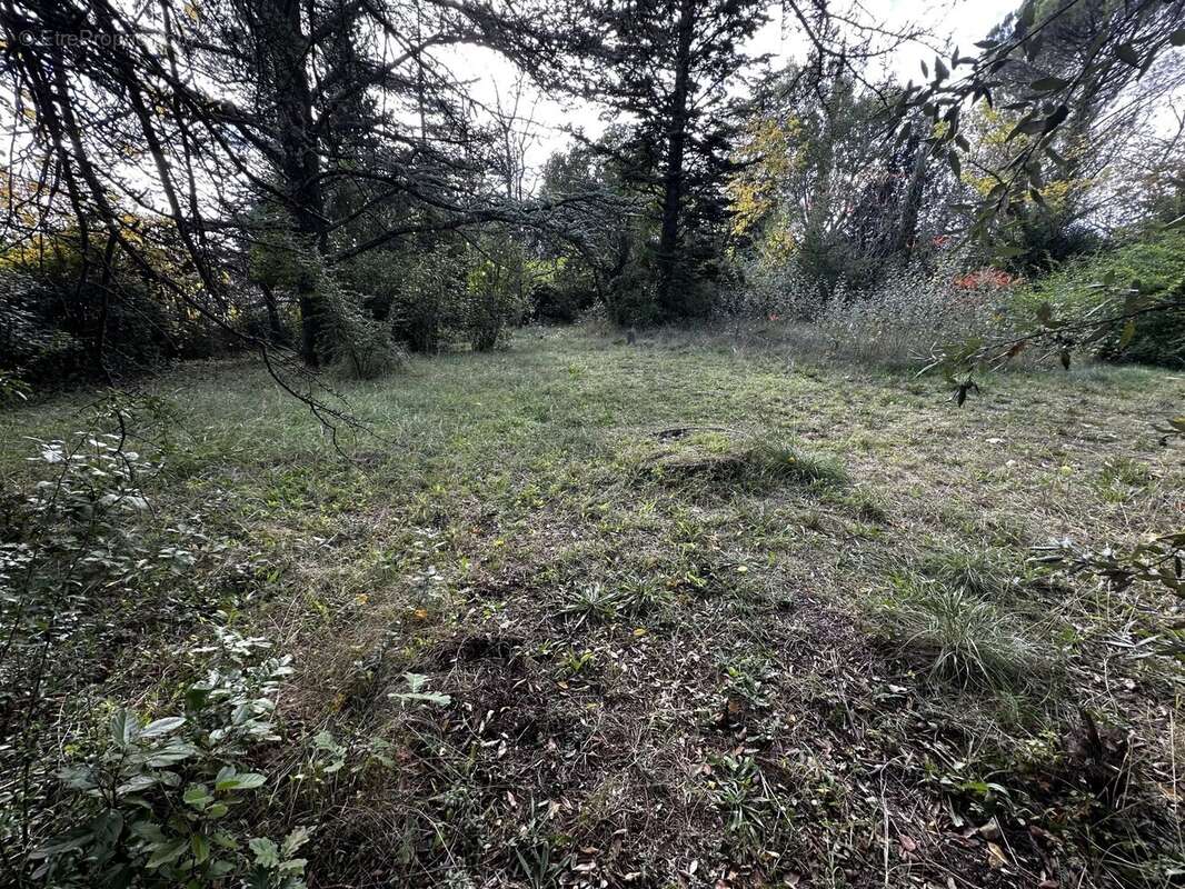 Terrain à SAINT-CHRISTOL-LES-ALES