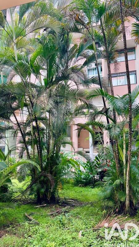 Photo 9 - Appartement à POINTE-A-PITRE