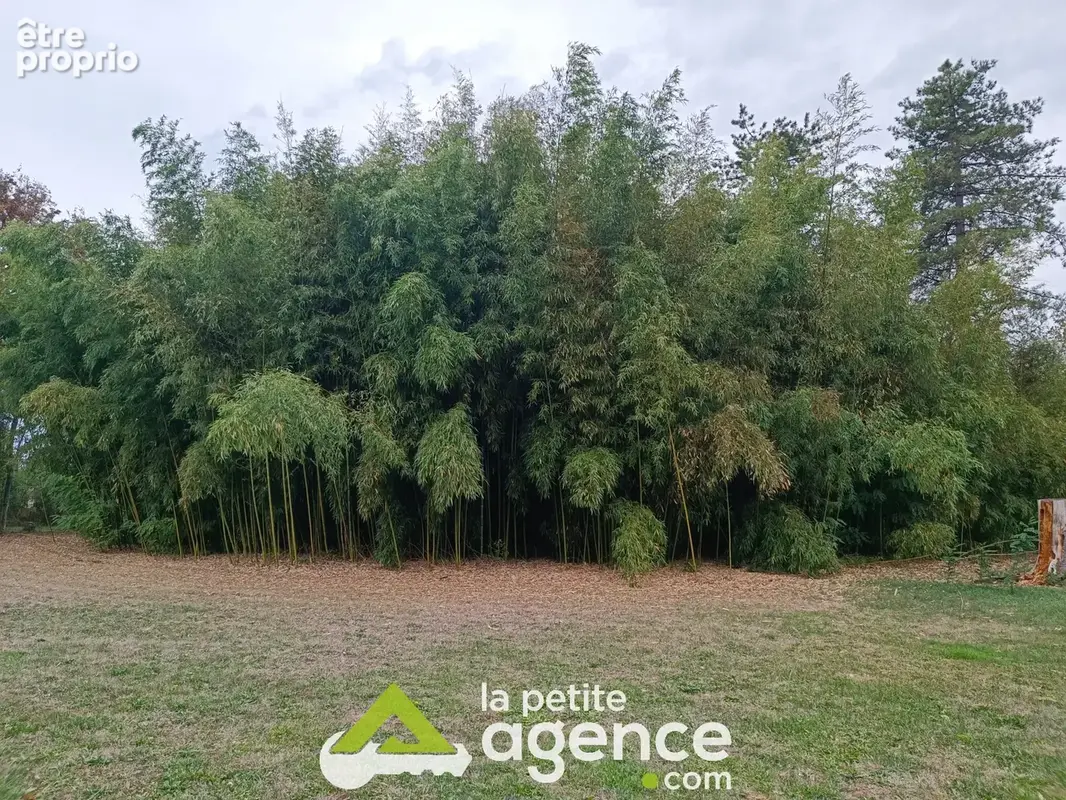 Maison 3 chambres sur près d'un hectare de terrain - photo 23