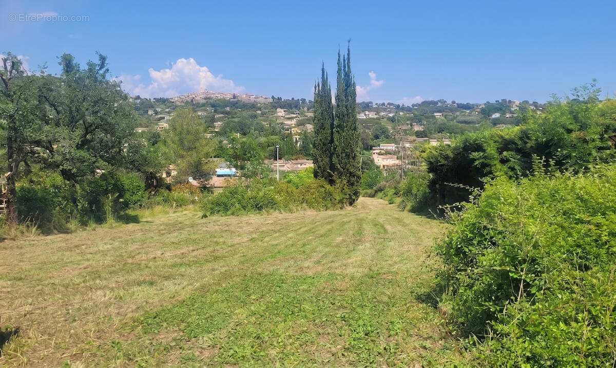 Photo 1 - Terrain à LA COLLE-SUR-LOUP