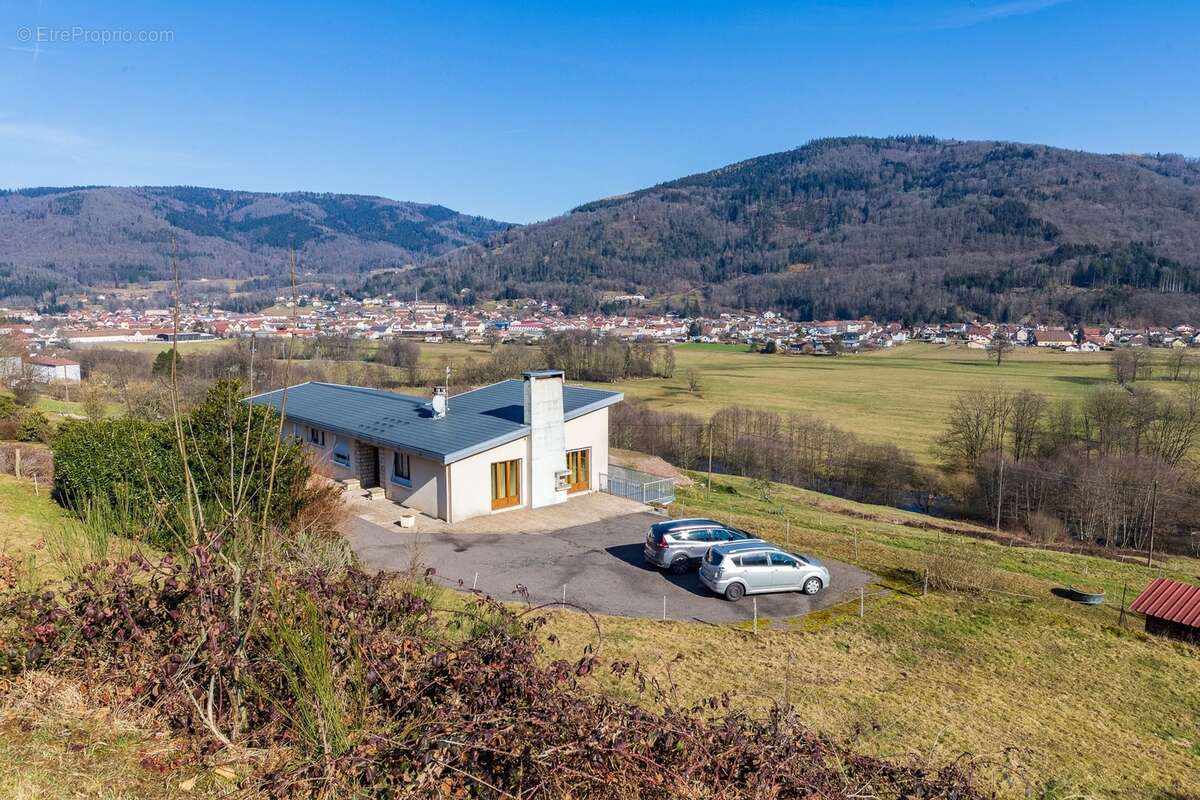 RUPT SUR MOSELLE (88)A vendre propriété T 10 pièces de 195m² sur sous sol + 4 box à chevaux +rucher, terrain 3.6 hectares - photo 2