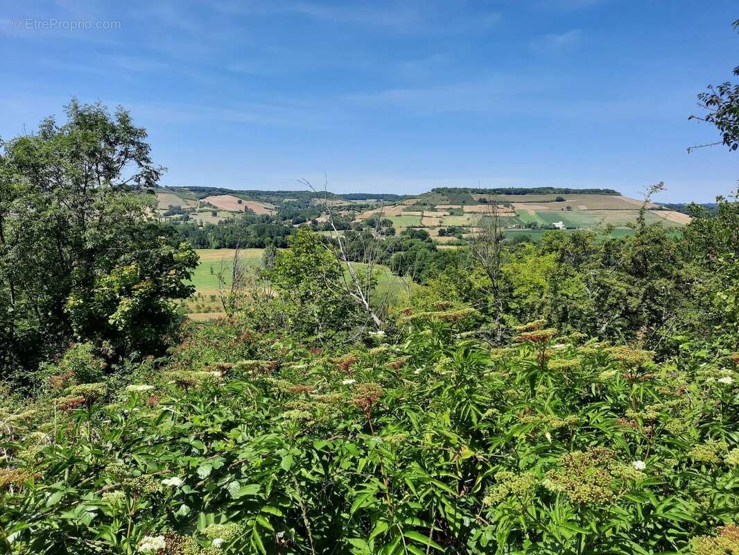 Maison à CORDES-SUR-CIEL