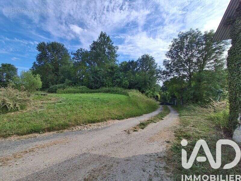 Maison 195 m² à Neuvy-En-Champagne  - photo 8