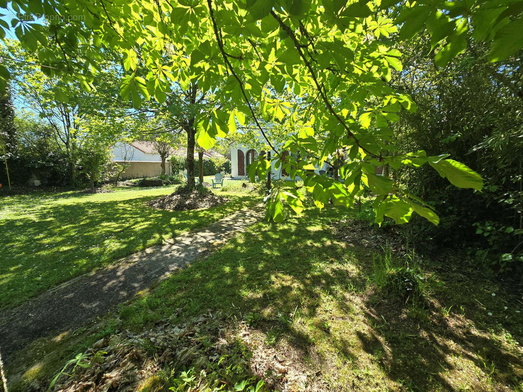 Maison à AIGREFEUILLE-SUR-MAINE