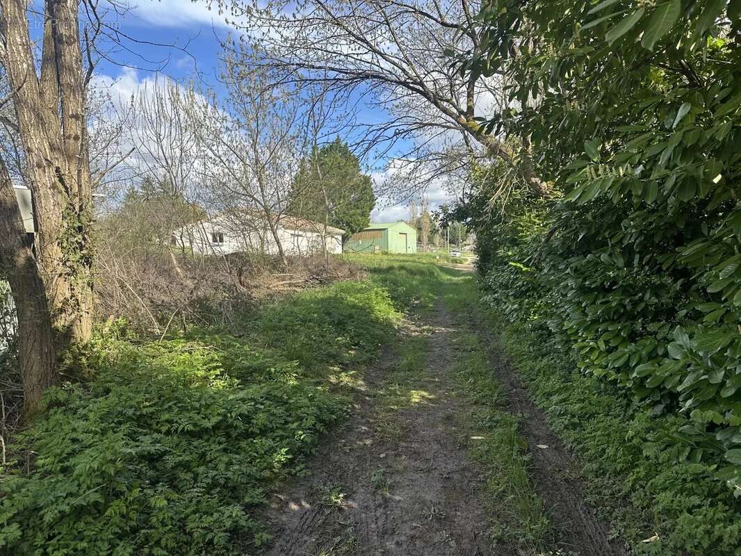 Terrain à SAINT-AUBIN-DE-CADELECH