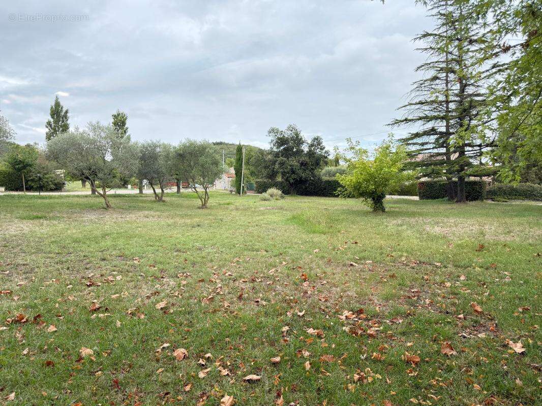 Terrain à VILLENEUVE-DE-BERG