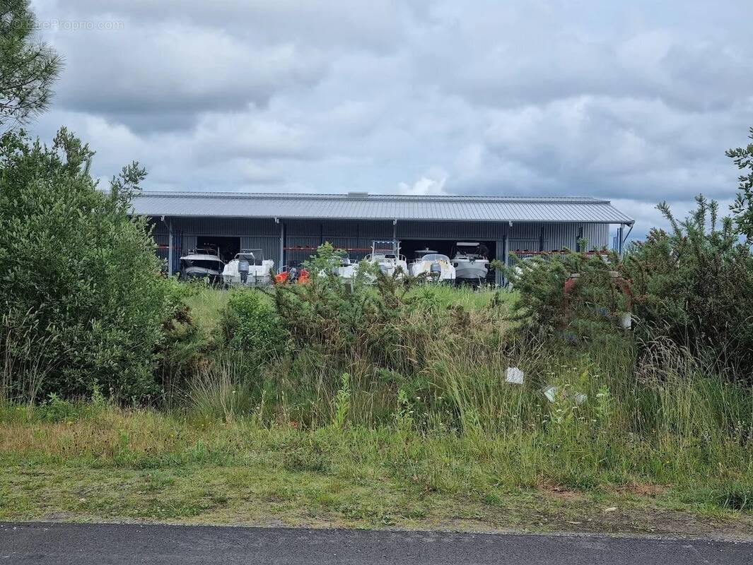 Terrain à SANGUINET