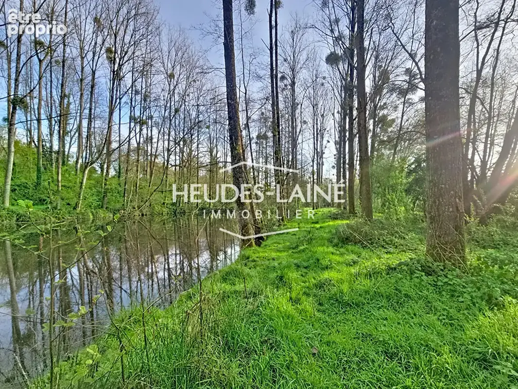 EXCLUSIVITÉ - Terrain avec étang - photo 5