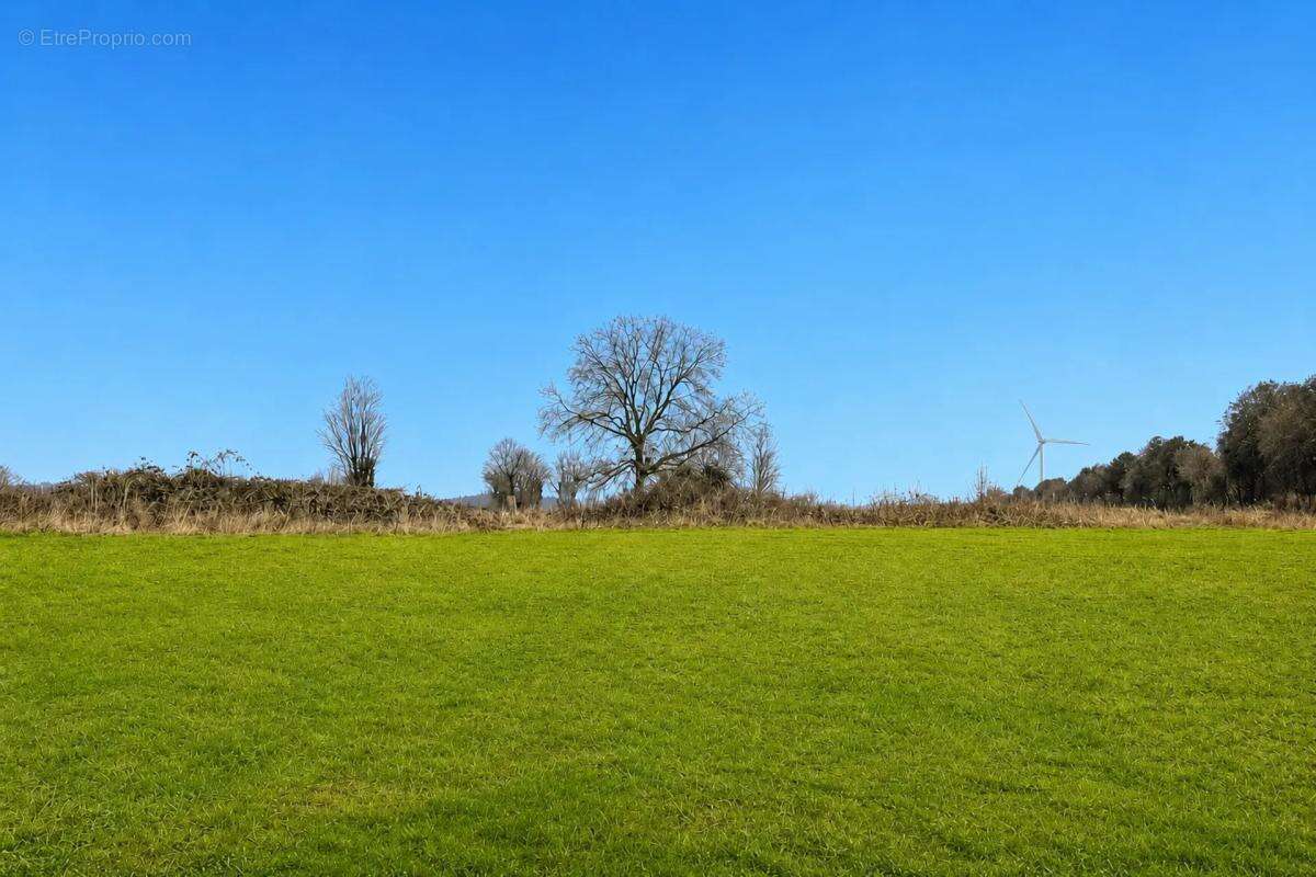 Maison de 187 m² en vente à Conteville - Idéal pour les familles - photo 10