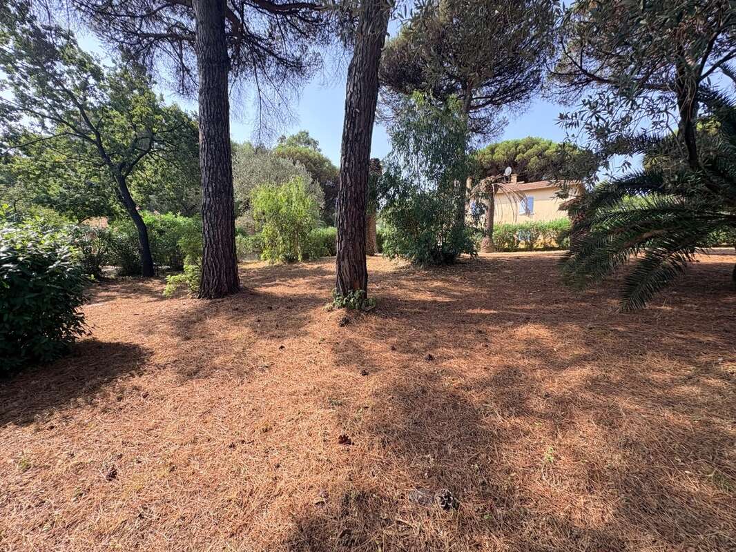 Opportunité rare : Maison avec fort potentiel d'extension / Projet de rénovation ou nouvelle maison - photo 2