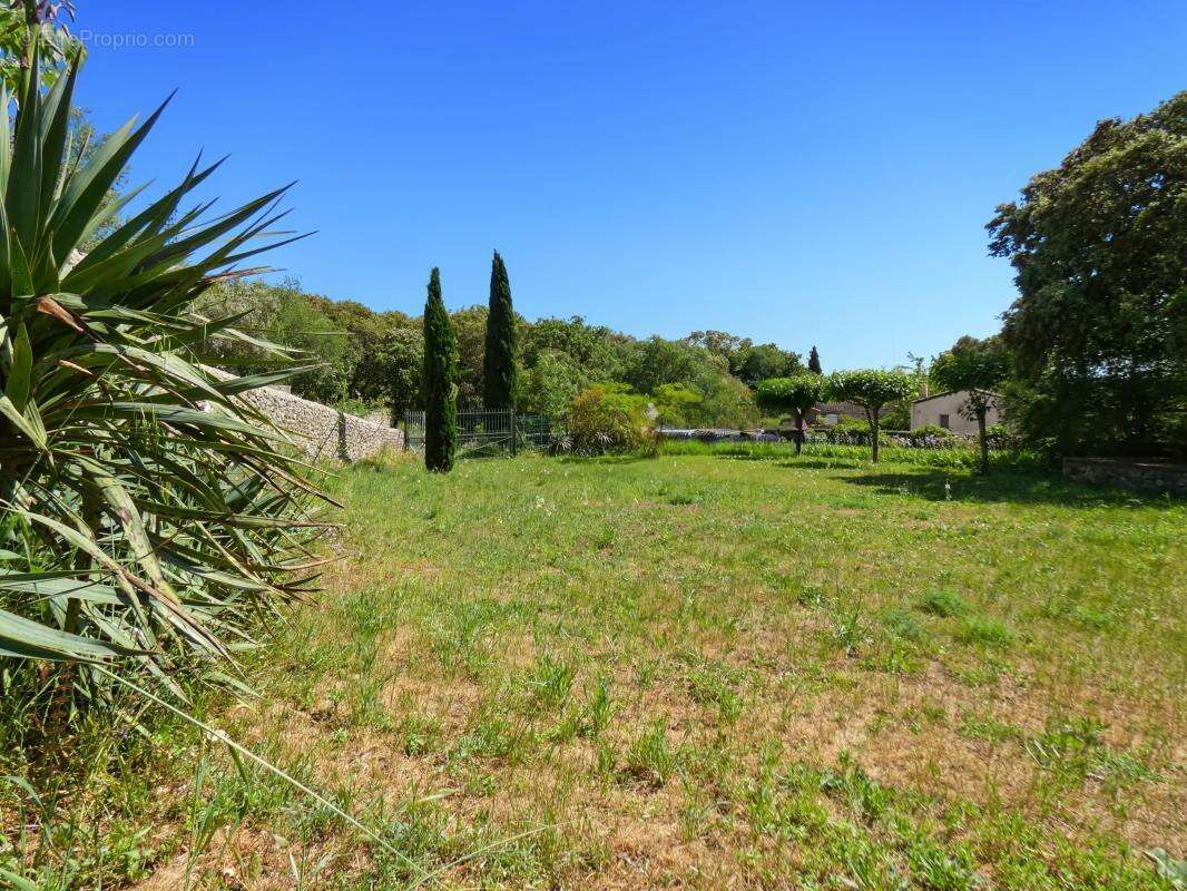 Terrain À Vendre constructible et viabilisé 1 281m2 - photo 3