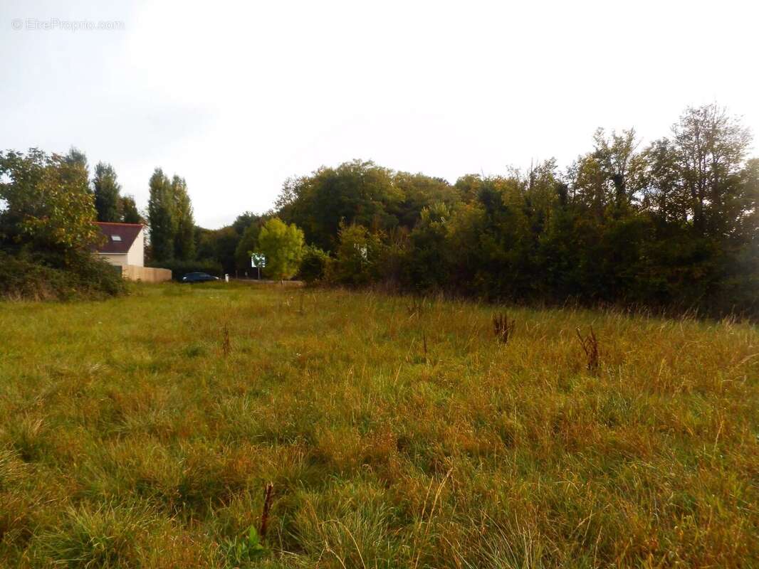 Terrain à HEUDEBOUVILLE