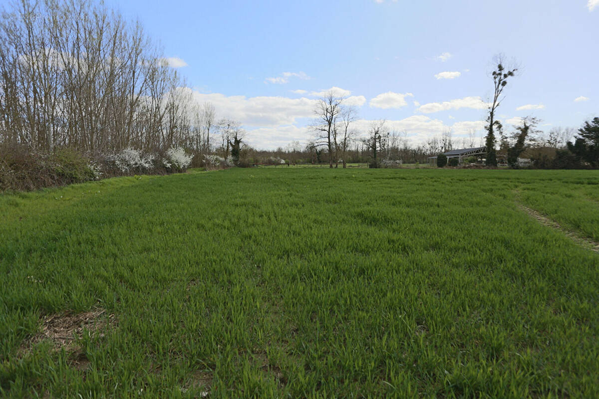 Terrain à SAINT-GERMAIN-DE-SALLES
