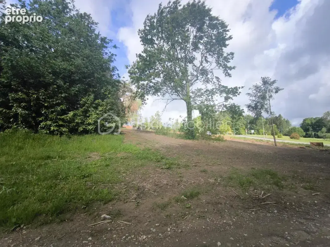  Coup de cœur – Grand terrain constructible entre nature et commodités à Oradour-sur-Glane  - photo 2