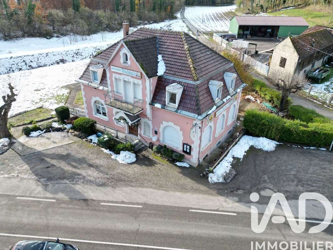 Photo 2 - Appartement à RIXHEIM