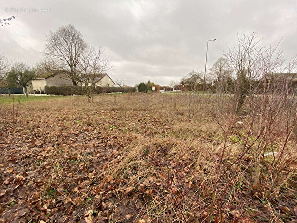 Terrain à FERE-CHAMPENOISE