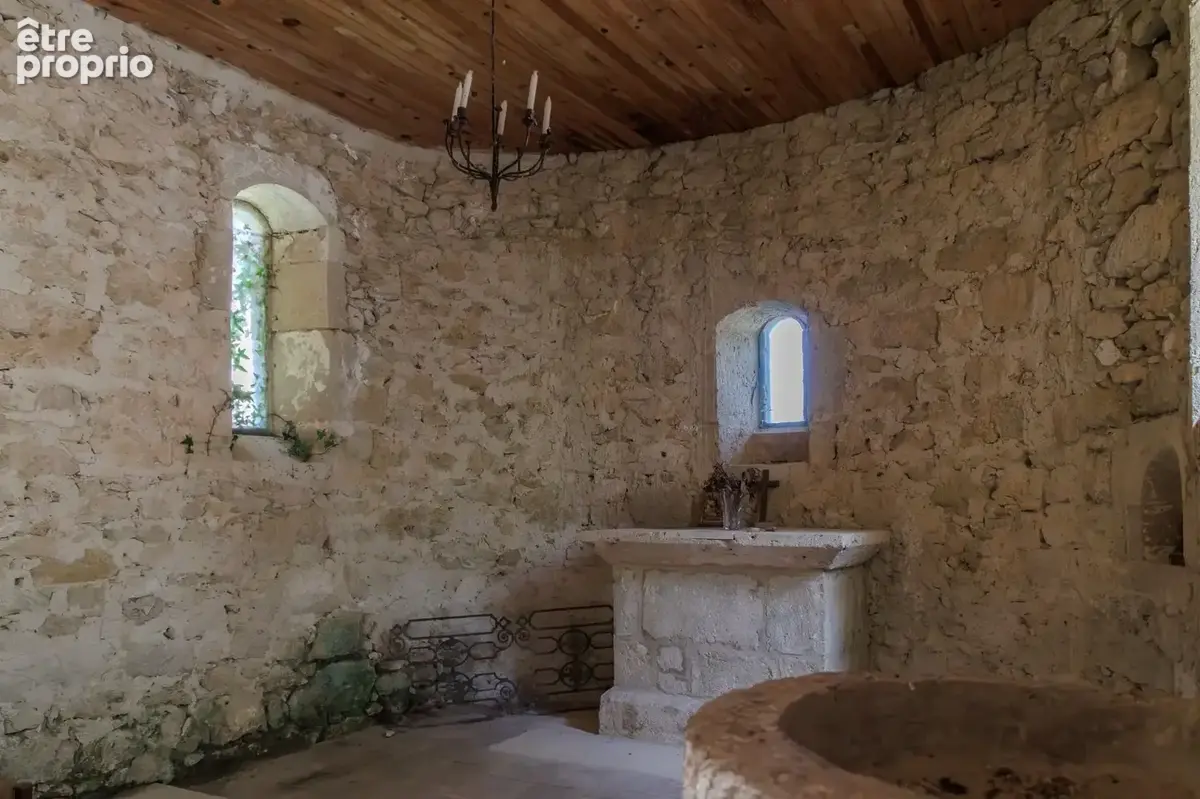 Château historique sur 19,5 hectares - photo 12