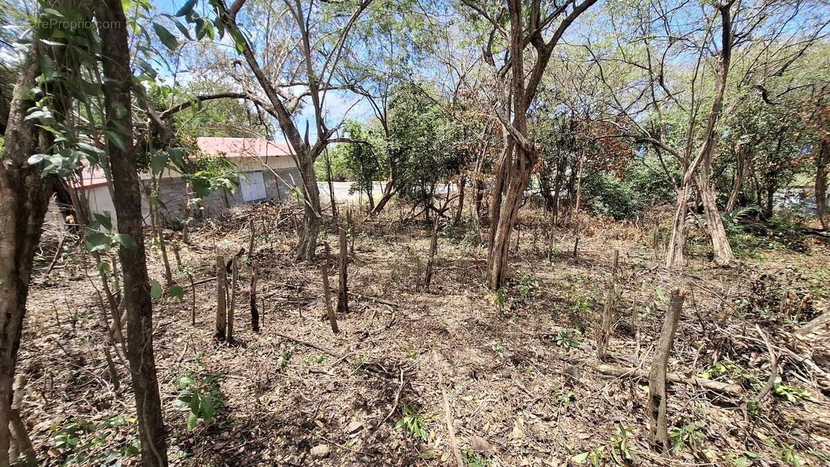 Terrain à BOUILLANTE