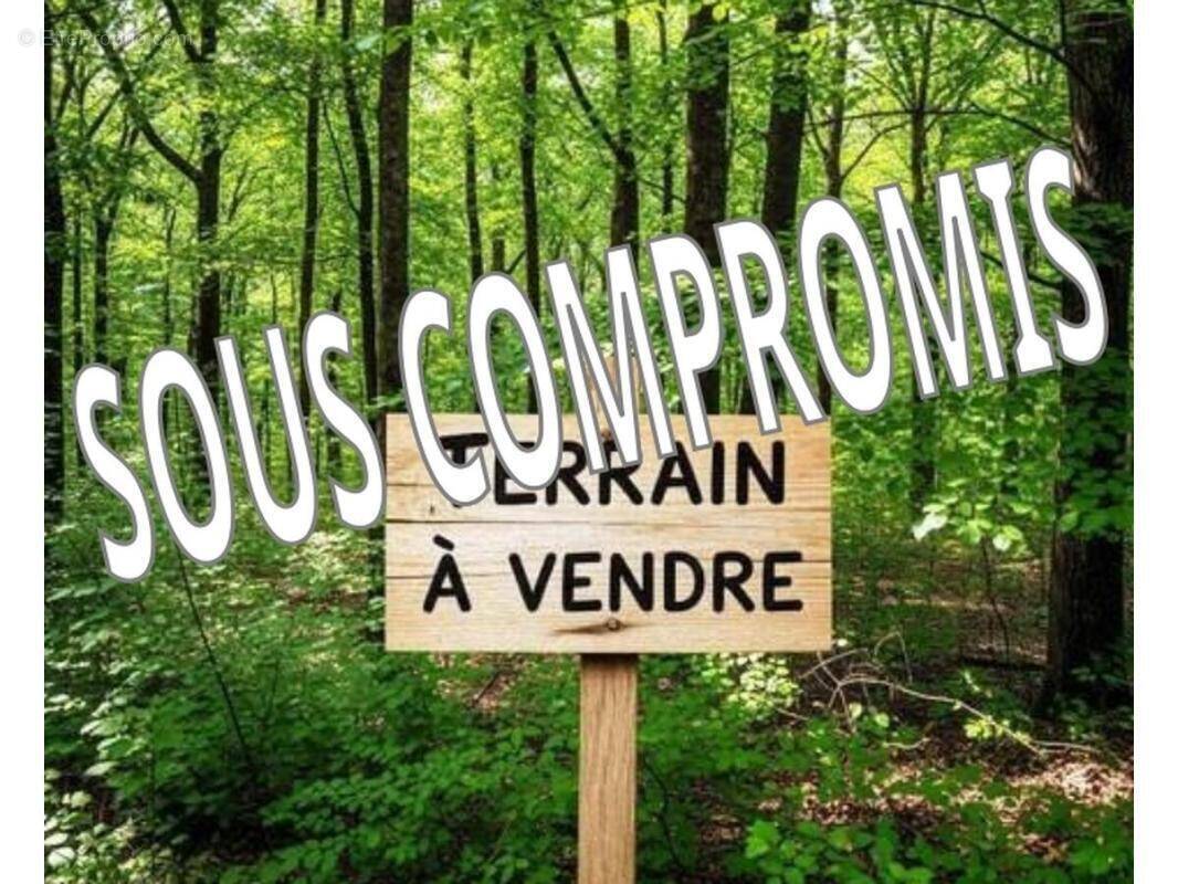 Terrain à PEAULE