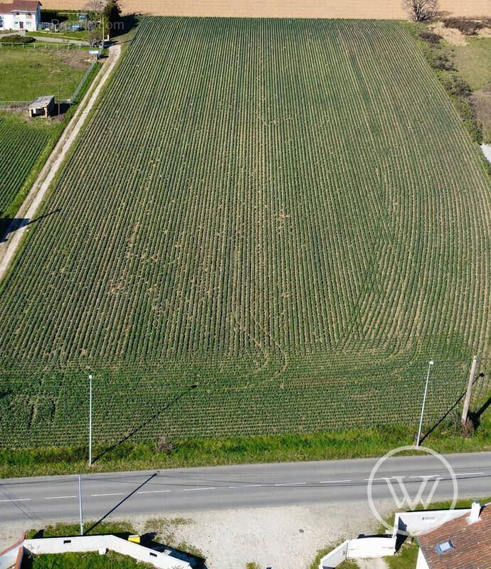 Terrain à BEAUREPAIRE