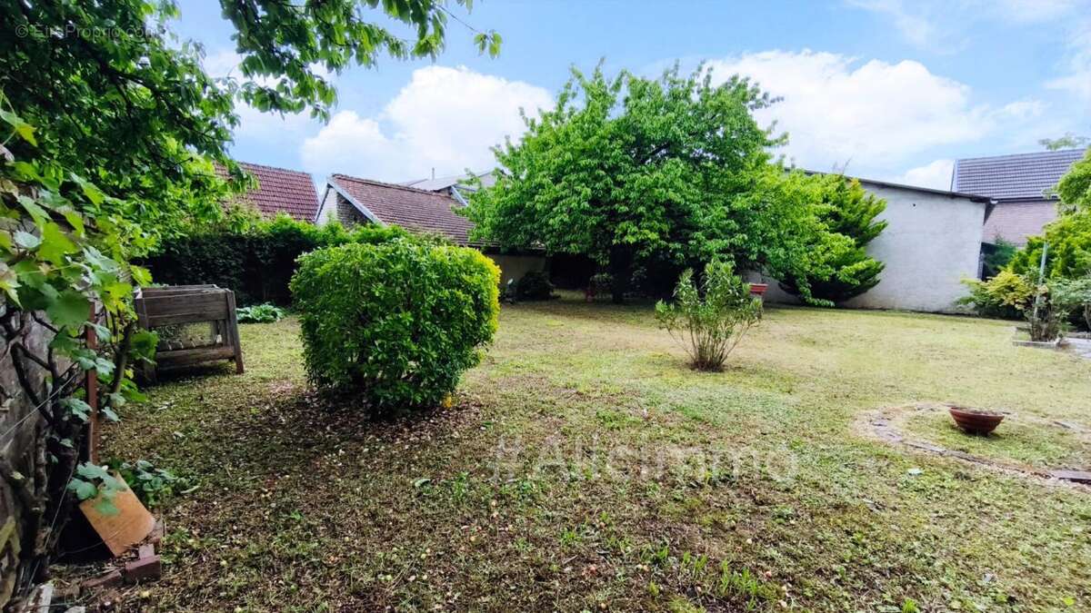 Maison Barbonne Fayel 3 pièces 78 m2 - photo 3