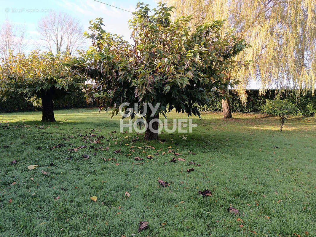 Maison à ALLEMANS-DU-DROPT