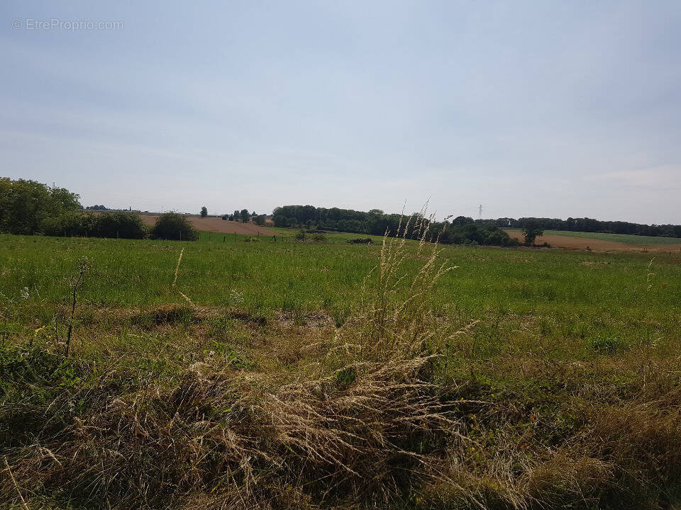 Terrain à LE VIEIL-EVREUX