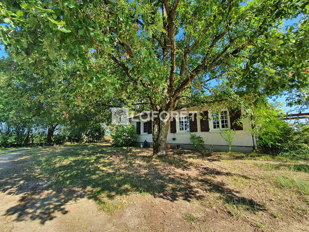Maison à LABASTIDE-SAINT-PIERRE