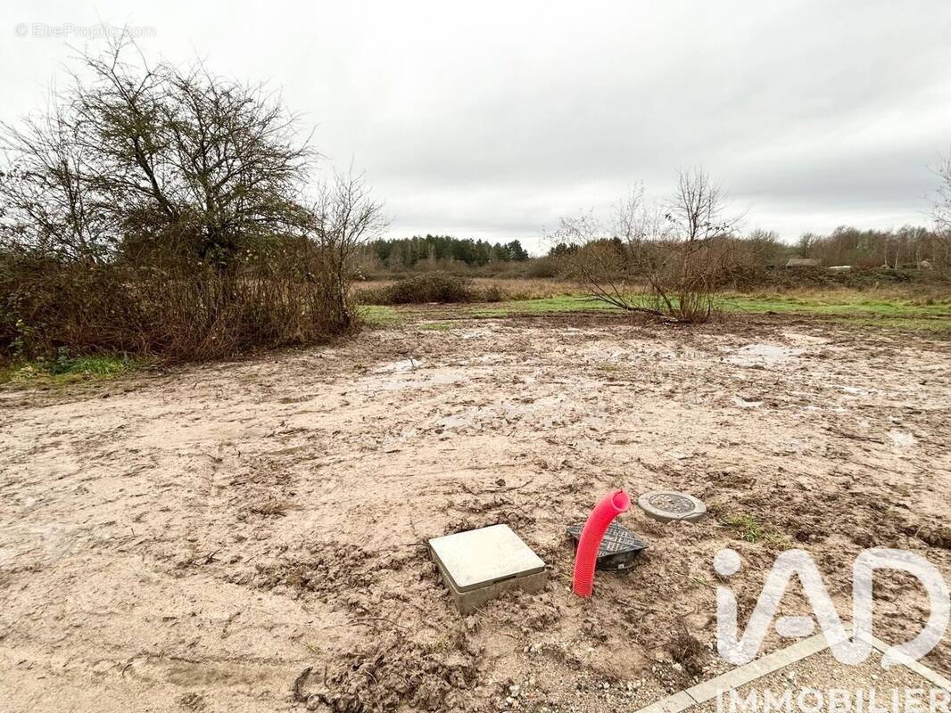 Photo 1 - Terrain à PRUNIERS-EN-SOLOGNE