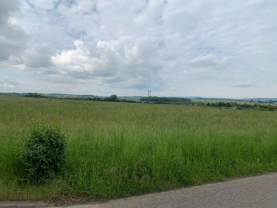 Terrain 292 m² à Distroff  - photo 5