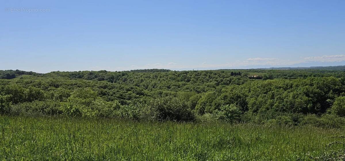 Terrain à ORDAN-LARROQUE